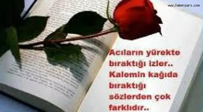 Gönder Bize.